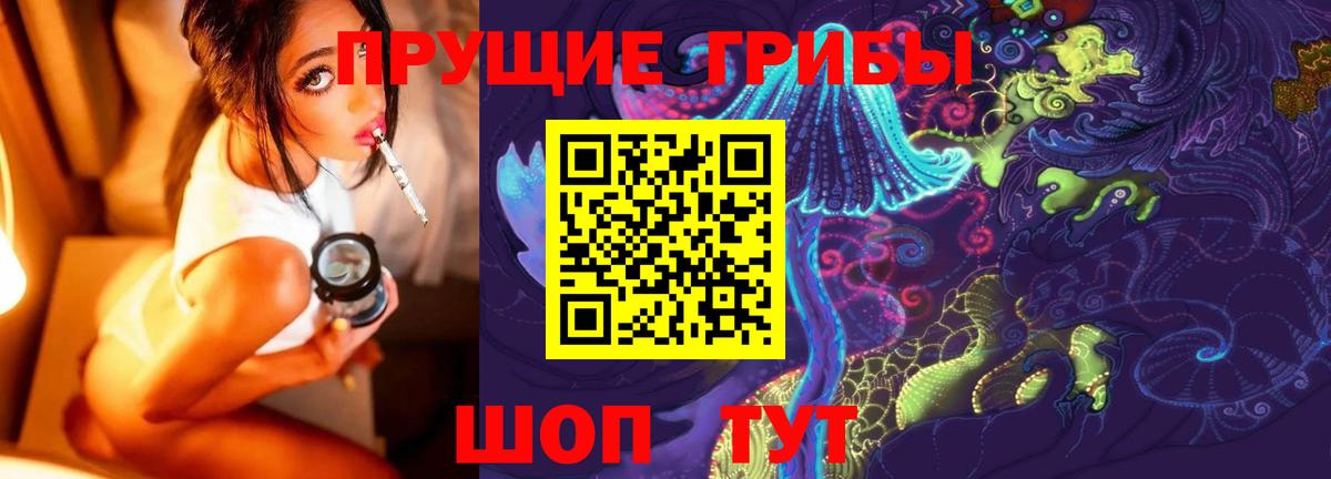 Псилоцибиновые грибы прущие грибы  Вход с VPN  Озёры 