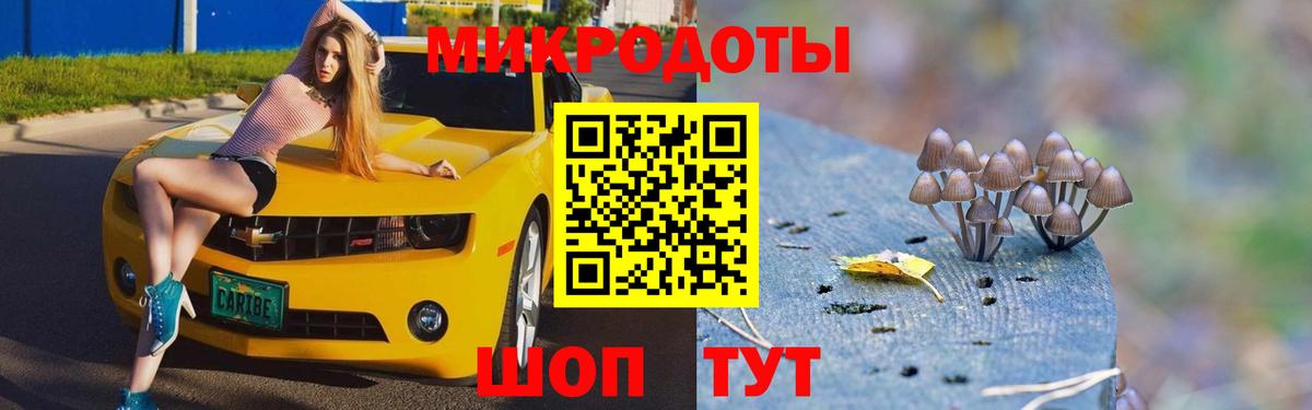 Галлюциногенные грибы ЛСД Озёры
